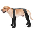 Puddle Proof Dog Boots