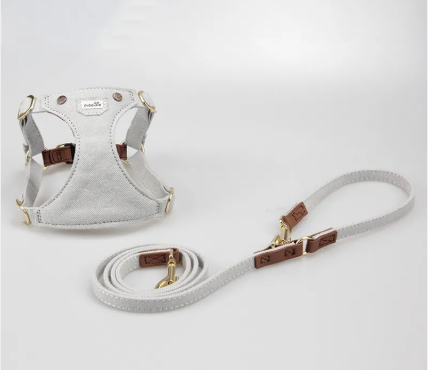 Teddy Trot Harness
