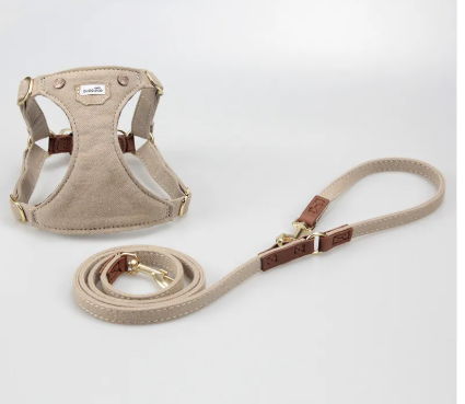 Teddy Trot Harness
