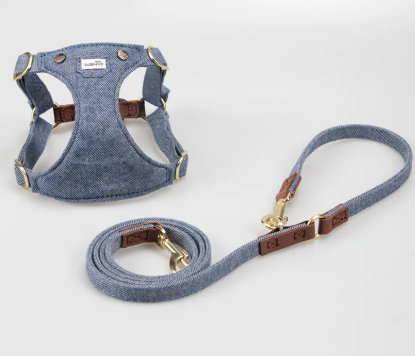 Teddy Trot Harness